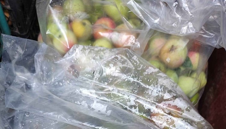 Още петима са с предупреждение за уволнение, генералният директор се извини