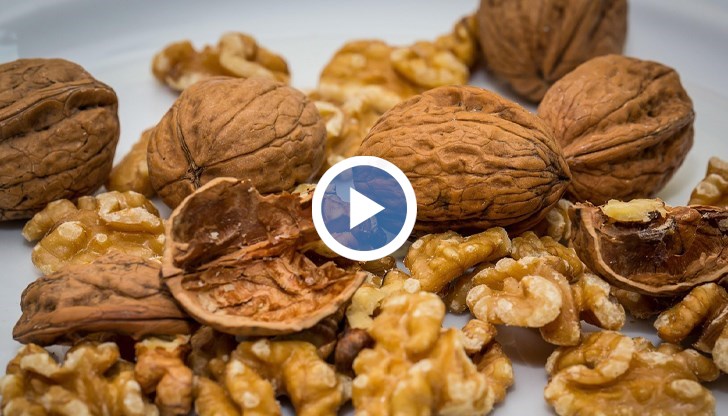 Пролетни измръзвания погубиха почти цялата реколта в най-големия масив край Голямо Дряново