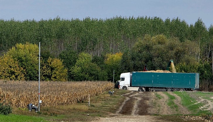 През последните 13 години Александър Димитров инвестира в изграждането на поливни системи