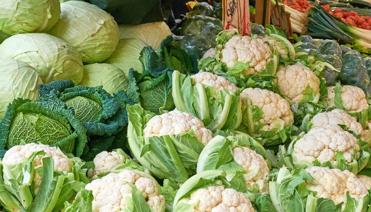 Мария от Пазарджишко: Унищожаваме производството си, веригите и борсите ни подиграват