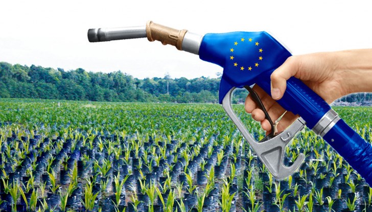 Производството им "поглъща" 20% от растителните масла в света