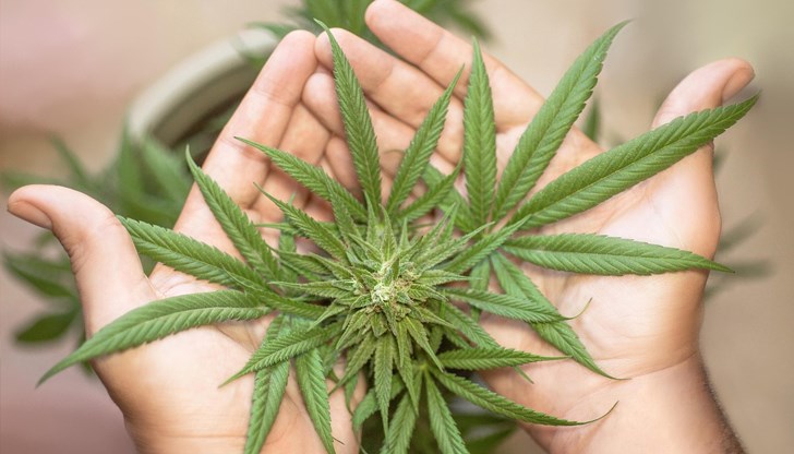 Пациентски организации приветстваха решението като "историческо" Пациентски организации приветстваха решението като "историческо"