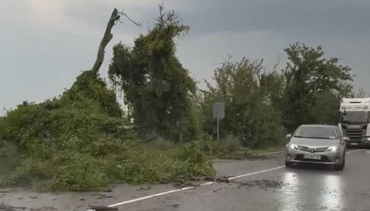 Вятър със 70 км/ч събори дървета и затвори пътища в Русенско