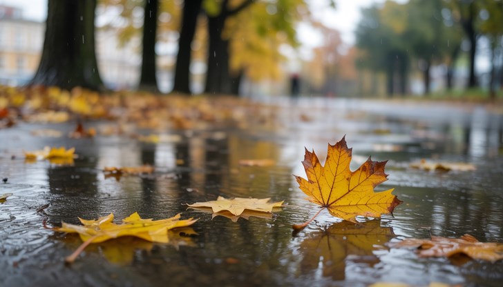 Максималните температури в страната ще са между 15 и 20 градуса