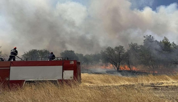 Загубите у нас достигат около един милиард евро, четири пъти над средното за Европейския съюз Загубите у нас достигат около един милиард евро, четири пъти над средното за Европейския съюз