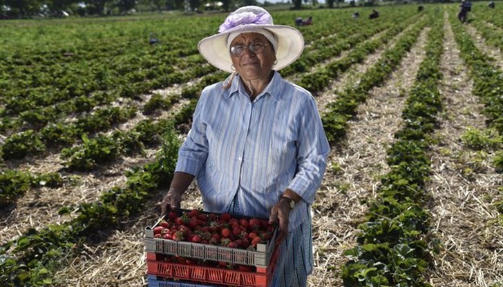 Над 200 фермери ще имат възможност за финансиране чрез 50 обединения до 5 декември