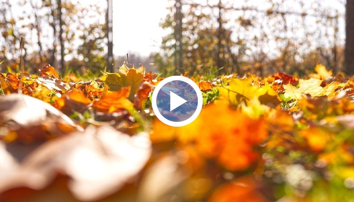 От минус 5 до 25 градуса през ноември