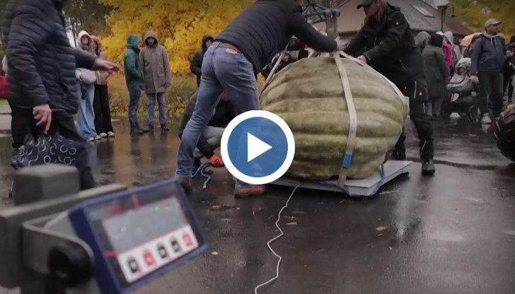 "Клементина" донесе на собственика си награда от 4500 злоти