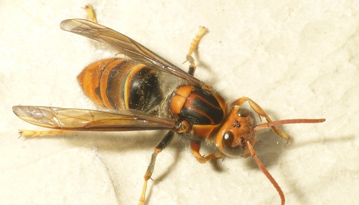 Жертвите са починали в рамките на по-малко от две седмици в областта Галисия