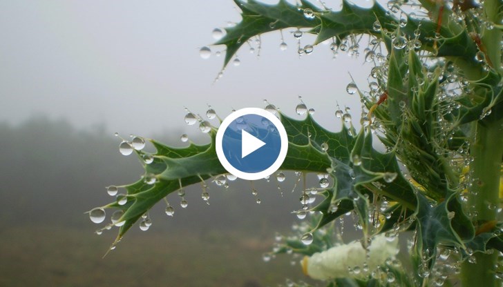 Температурите малко ще се понижат