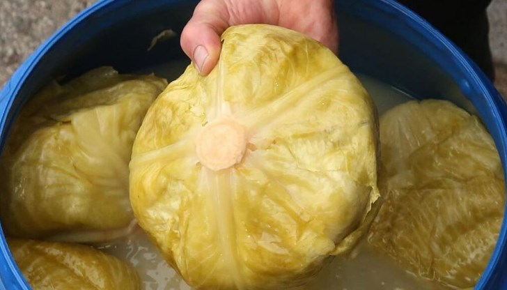 Краят на октомври и първите седмици на ноември са идеалният период за старт на ферментацията Краят на октомври и първите седмици на ноември са идеалният период за старт на ферментацията