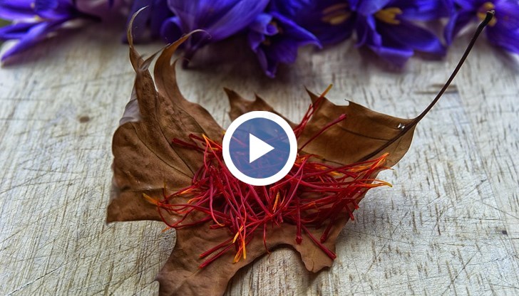 „Червеното злато” прослави страната ни заради качеството си