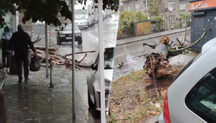 Пожарната се отзова на десетки сигнали след потопа в Русе Пожарната се отзова на десетки сигнали след потопа в Русе