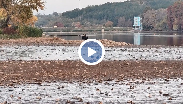 Кметът Пенчо Милков организира масова доброволческа акция на 1 ноември в 10 часа на Гребната база