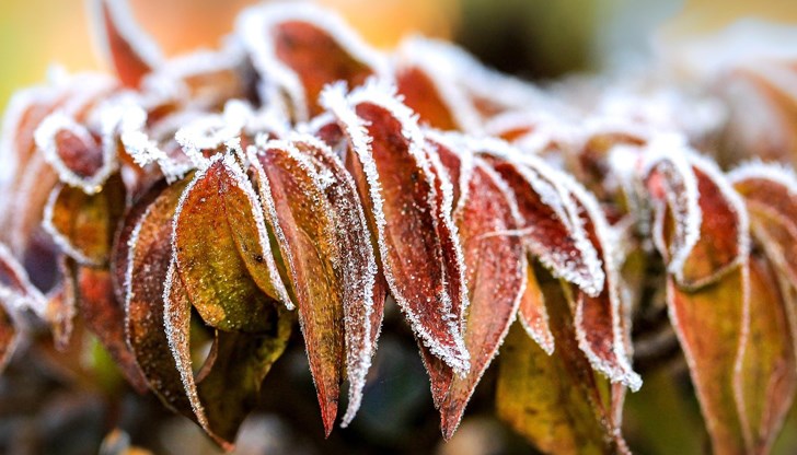 Сутрините ще са студени и със слани