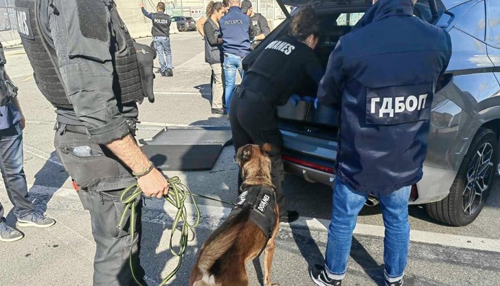 Специална операция на пристанището в Генуа проведоха съвместно с европейски колеги