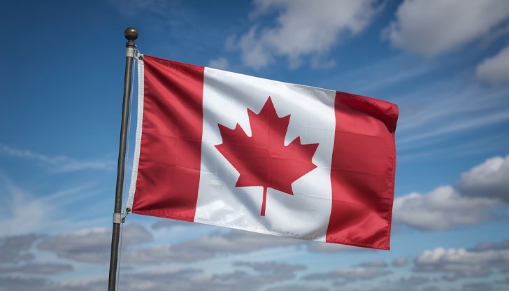 Природозащитниците протестираха срещу заплахата за евтаназия на белугите от Marineland