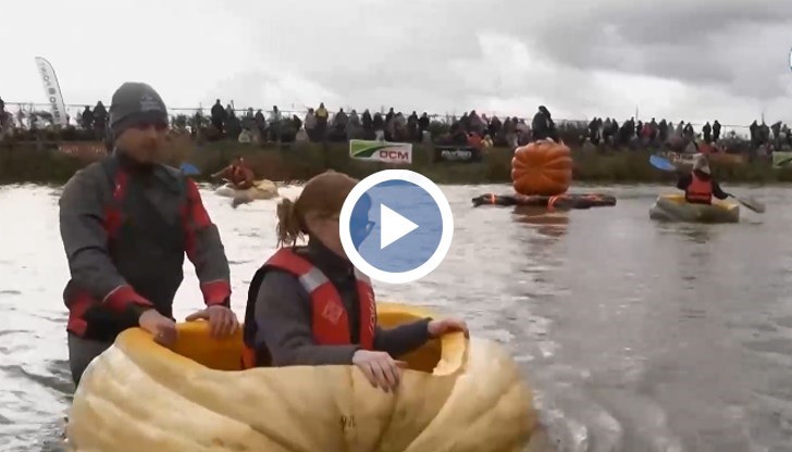 Необичайното състезание в град Кастерле привлече вниманието на десетки зрители