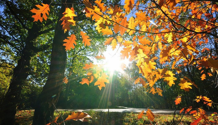 Европейският модел потвърди прогнозата за температури близо до летни след