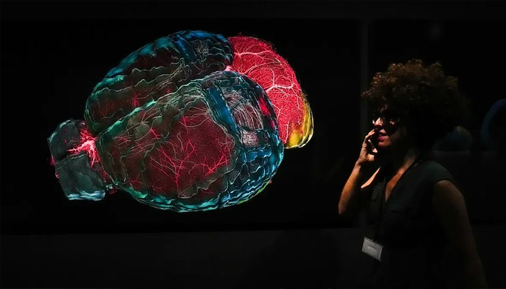 Изследване показва, че антидепресантите намаляват усложненията и разходите при онкоболниДепресията