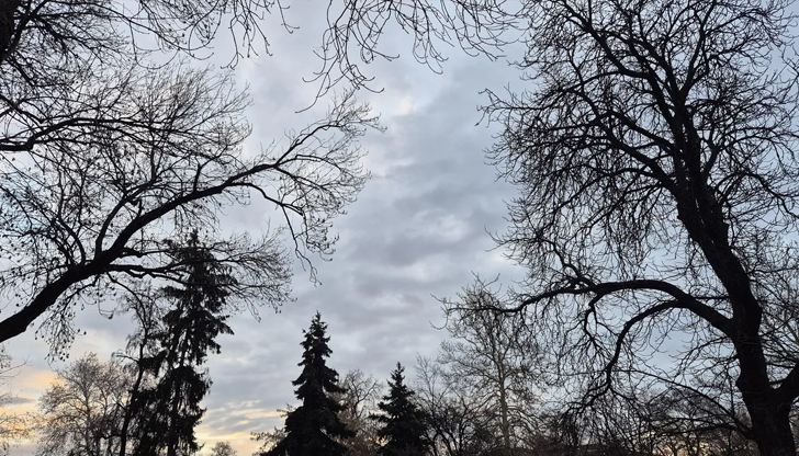 Силен вятър от юг-югозапад, после от северозапад, максимални температури до