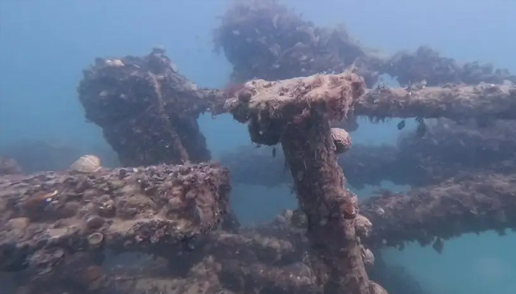 Учените от Центъра за подводна археология намериха рядка находка на