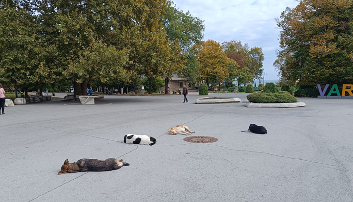 Температурите ще достигнат до 21 градуса, ще духа слаб до