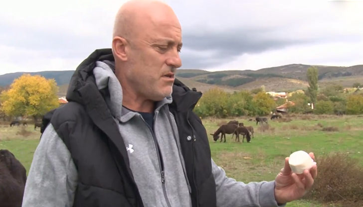 Българи произвеждат за първи път в света кашкавал и сирене