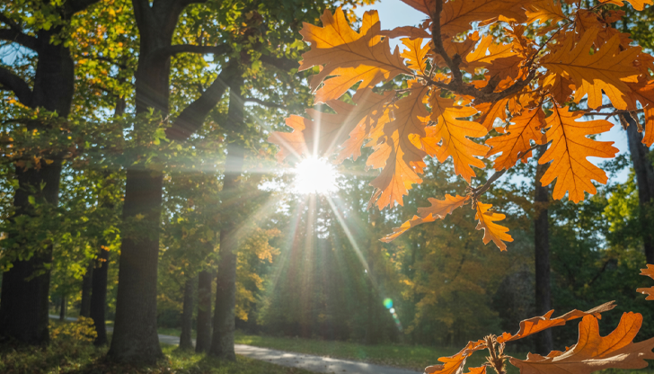 Слънчево и топло време очаква България до края на седмицатаПрез