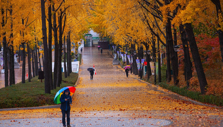 След средата на месеца се очаква сухо време с над