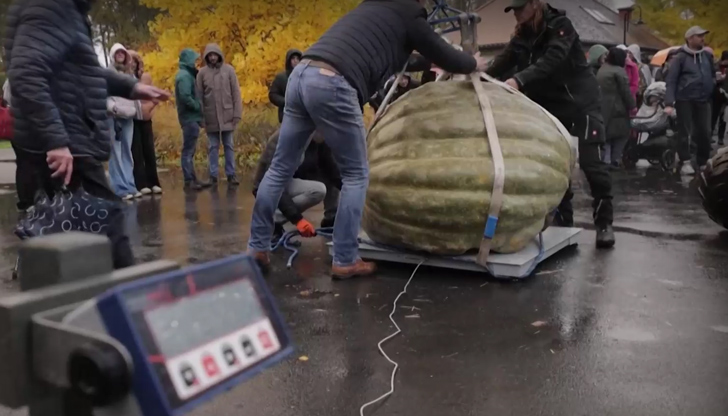 Клементина донесе на собственика си награда от 4500 злотиТиква с