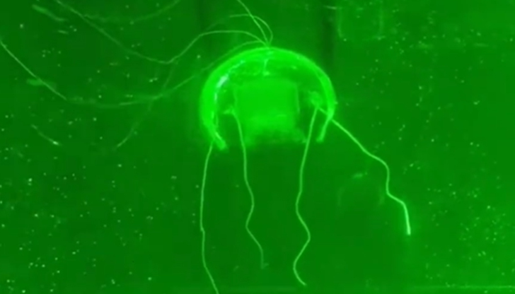 Прозрачният робот е почти невидим под водата и може да