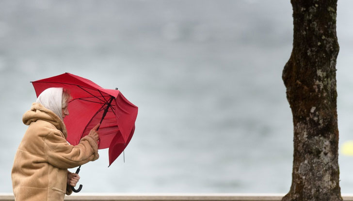 Очаква се вятърът в Дунавската равнина да е силен, температурите