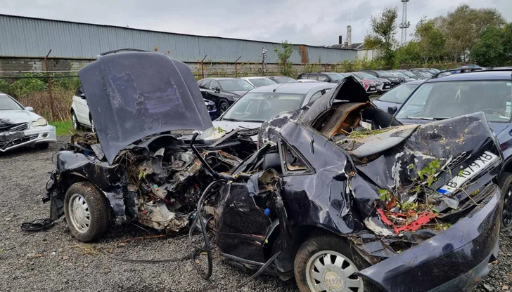 Николай Киряков: Аз с моя стаж също не бих се