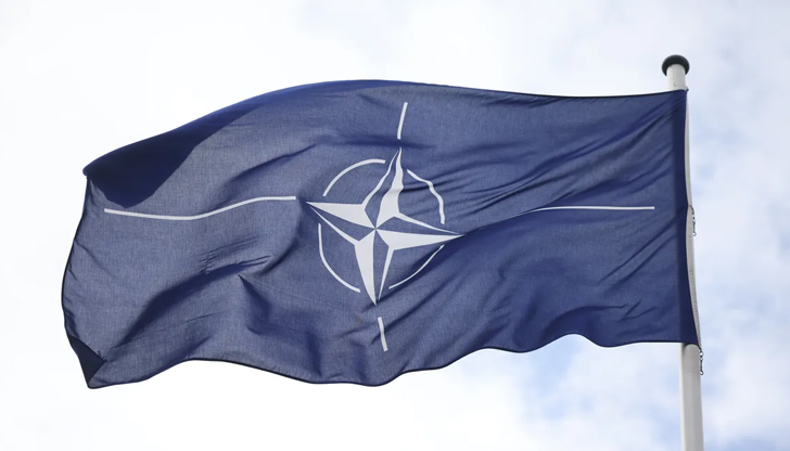 Няколко заподозрени са задържани в Белгия и НидерландияБивши и настоящи