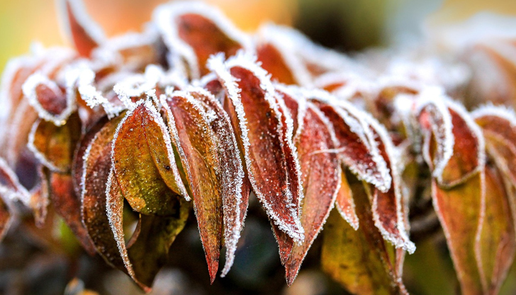 Сутрините ще са студени и със сланиДо края на октомври