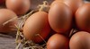 Яйцата поскъпнаха с 4% за две седмици
