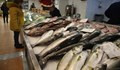 Шаран, толстолоб и таранка са най-търсените риби преди Никулден