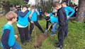 Ученици от Русе засадиха 80 дървета