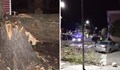 Ураганен вятър събори дървета в Царево и Приморско