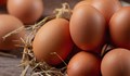 Яйцата поскъпнаха с 4% за две седмици