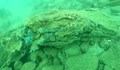 Единствената вкаменена подводна гора в света се намира край Созопол