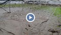 Земеделци губят поминъка си след водното бедствие в Ново Делчево