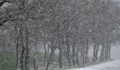 Meteo Balkans: Зимата настъпва на Балканите от 18 ноември