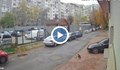 Шофьор прегази куче в София