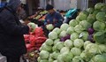Свръхпроизводство срина цената на зелето до 30 стотинки