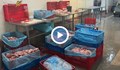 Откриха десетки тонове месо без документи при спецакция в София