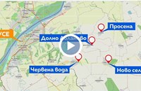 Множество сигнали за застреляни домашни кучета в Русенско