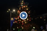 Най-високата жива елха в Европа грейна в Димитровград