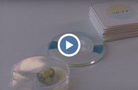 Иновативна таблетка за тоалетна открива бъбречни заболявания